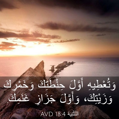 Picture 03 - اَلتَّثْنِيَة 18:4 AVD - وَتُعْطِيهِ أَوَّلَ - Bible Verse Picture