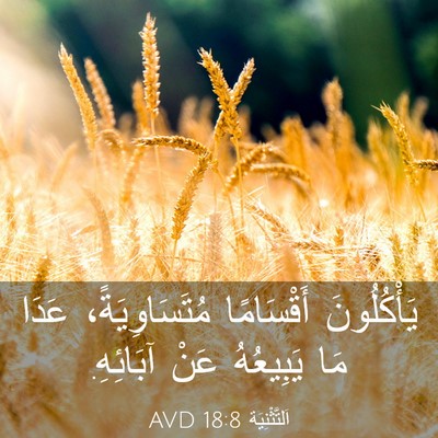 Picture 03 - اَلتَّثْنِيَة 18:8 AVD - يَأْكُلُونَ أَقْسَامًا - Bible Verse Picture