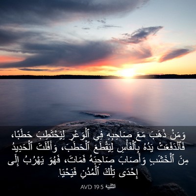 Picture 03 - اَلتَّثْنِيَة 19:5 AVD - وَمَنْ ذَهَبَ مَعَ - Bible Verse Picture