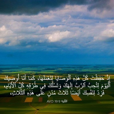 Picture 03 - اَلتَّثْنِيَة 19:9 AVD - إِذْ حَفِظْتَ كُلَّ هَذِهِ - Bible Verse Picture