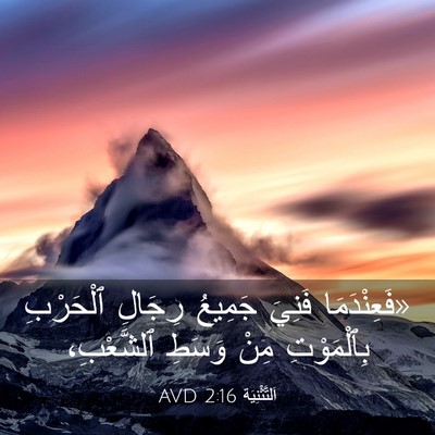 Picture 03 - اَلتَّثْنِيَة 2:16 AVD - «فَعِنْدَمَا فَنِيَ - Bible Verse Picture