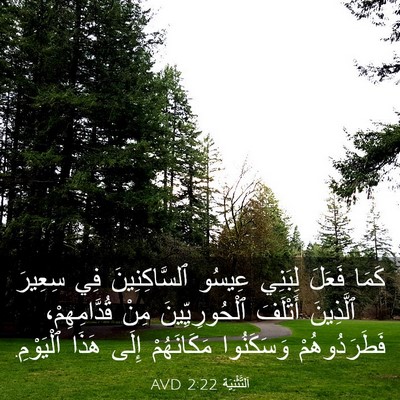 Picture 03 - اَلتَّثْنِيَة 2:22 AVD - كَمَا فَعَلَ لِبَنِي - Bible Verse Picture