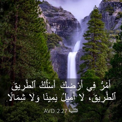 Picture 03 - اَلتَّثْنِيَة 2:27 AVD - أَمُرُّ فِي أَرْضِكَ. - Bible Verse Picture