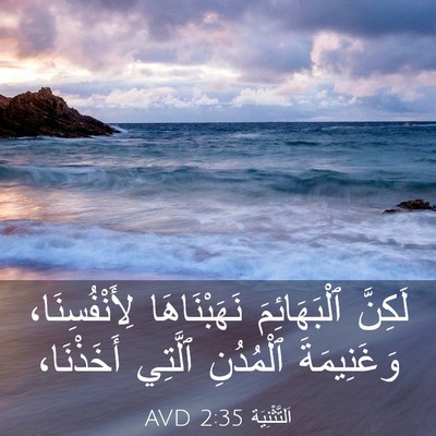 Picture 03 - اَلتَّثْنِيَة 2:35 AVD - لَكِنَّ ٱلْبَهَائِمَ - Bible Verse Picture