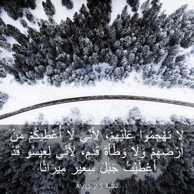 Picture 03 - اَلتَّثْنِيَة 2:5 AVD - لَا تَهْجِمُوا - Bible Verse Picture