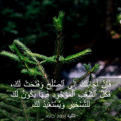 Picture 03 - اَلتَّثْنِيَة 20:11 AVD - فَإِنْ أَجَابَتْكَ إِلَى - Bible Verse Picture