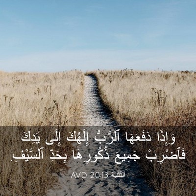 Picture 03 - اَلتَّثْنِيَة 20:13 AVD - وَإِذَا دَفَعَهَا - Bible Verse Picture