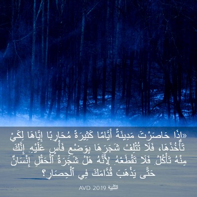 Picture 03 - اَلتَّثْنِيَة 20:19 AVD - «إِذَا حَاصَرْتَ - Bible Verse Picture