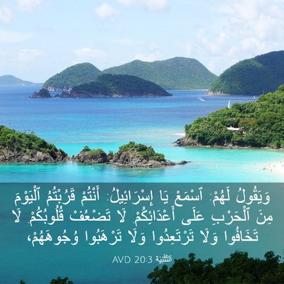 Picture 03 - اَلتَّثْنِيَة 20:3 AVD - وَيَقُولُ لَهُمْ: ٱسْمَعْ - Bible Verse Picture