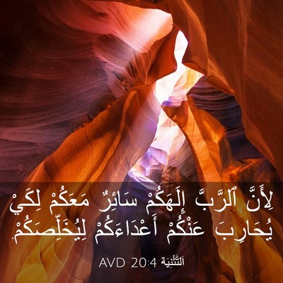 Picture 03 - اَلتَّثْنِيَة 20:4 AVD - لِأَنَّ ٱلرَّبَّ - Bible Verse Picture