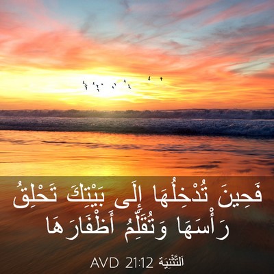Picture 03 - اَلتَّثْنِيَة 21:12 AVD - فَحِينَ تُدْخِلُهَا إِلَى - Bible Verse Picture