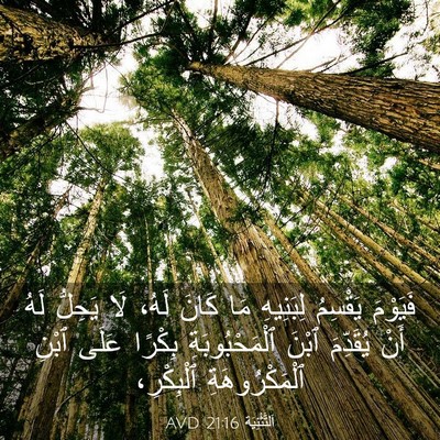 Picture 03 - اَلتَّثْنِيَة 21:16 AVD - فَيَوْمَ يَقْسِمُ - Bible Verse Picture
