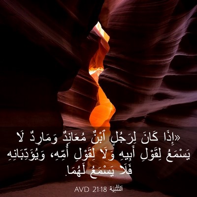 Picture 03 - اَلتَّثْنِيَة 21:18 AVD - «إِذَا كَانَ لِرَجُلٍ - Bible Verse Picture