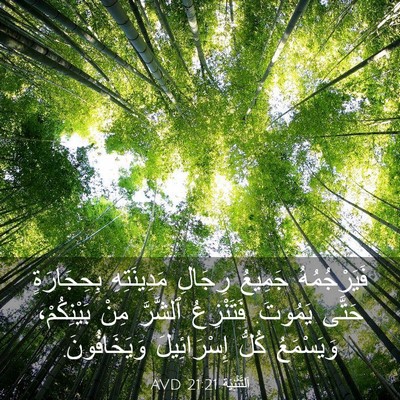 Picture 03 - اَلتَّثْنِيَة 21:21 AVD - فَيَرْجُمُهُ جَمِيعُ - Bible Verse Picture