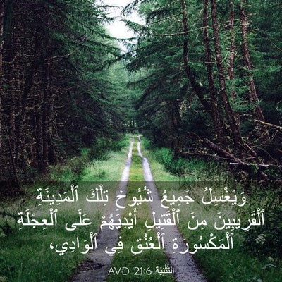 Picture 03 - اَلتَّثْنِيَة 21:6 AVD - وَيَغْسِلُ جَمِيعُ - Bible Verse Picture