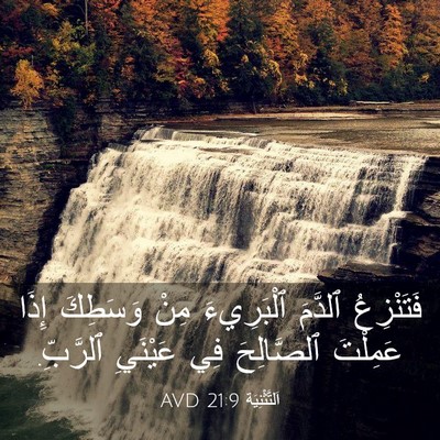 Picture 03 - اَلتَّثْنِيَة 21:9 AVD - فَتَنْزِعُ ٱلدَّمَ - Bible Verse Picture