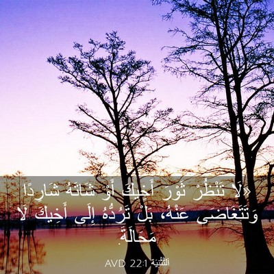 Picture 03 - اَلتَّثْنِيَة 22:1 AVD - «لَا تَنْظُرْ ثَوْرَ - Bible Verse Picture