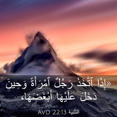 Picture 03 - اَلتَّثْنِيَة 22:13 AVD - «إِذَا ٱتَّخَذَ رَجُلٌ - Bible Verse Picture