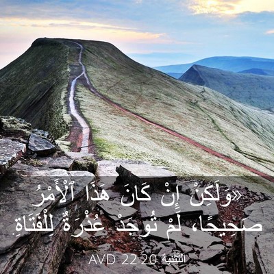 Picture 03 - اَلتَّثْنِيَة 22:20 AVD - «وَلَكِنْ إِنْ كَانَ هَذَا - Bible Verse Picture