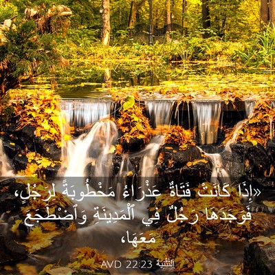 Picture 03 - اَلتَّثْنِيَة 22:23 AVD - «إِذَا كَانَتْ فَتَاةٌ - Bible Verse Picture