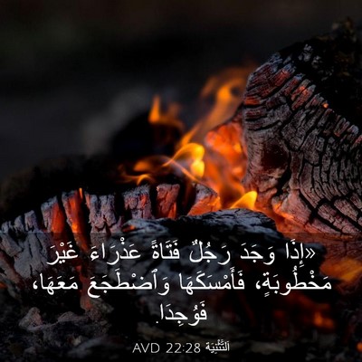 Picture 03 - اَلتَّثْنِيَة 22:28 AVD - «إِذَا وَجَدَ رَجُلٌ - Bible Verse Picture