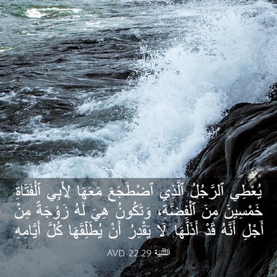 Picture 03 - اَلتَّثْنِيَة 22:29 AVD - يُعْطِي ٱلرَّجُلُ ٱلَّذِي - Bible Verse Picture