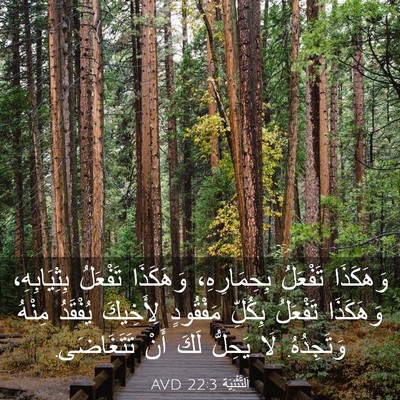 Picture 03 - اَلتَّثْنِيَة 22:3 AVD - وَهَكَذَا تَفْعَلُ - Bible Verse Picture