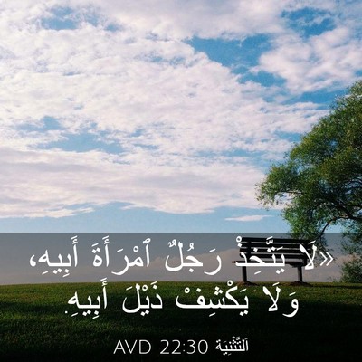Picture 03 - اَلتَّثْنِيَة 22:30 AVD - «لَا يَتَّخِذْ رَجُلٌ - Bible Verse Picture