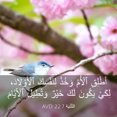 Picture 03 - اَلتَّثْنِيَة 22:7 AVD - أَطْلِقِ ٱلْأُمَّ وَخُذْ - Bible Verse Picture