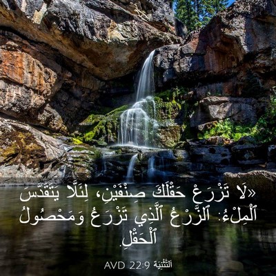 Picture 03 - اَلتَّثْنِيَة 22:9 AVD - «لَا تَزْرَعْ حَقْلَكَ - Bible Verse Picture
