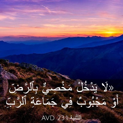 Picture 03 - اَلتَّثْنِيَة 23:1 AVD - «لَا يَدْخُلْ مَخْصِيٌّ - Bible Verse Picture