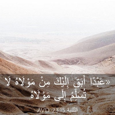 Picture 03 - اَلتَّثْنِيَة 23:15 AVD - «عَبْدًا أَبَقَ إِلَيْكَ - Bible Verse Picture