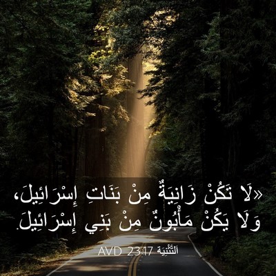 Picture 03 - اَلتَّثْنِيَة 23:17 AVD - «لَا تَكُنْ زَانِيَةٌ مِنْ - Bible Verse Picture