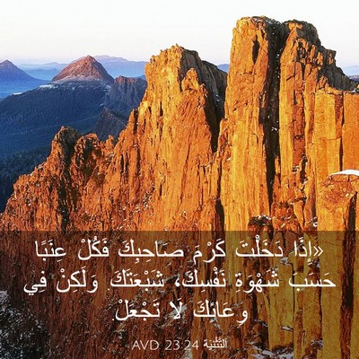 Picture 03 - اَلتَّثْنِيَة 23:24 AVD - «إِذَا دَخَلْتَ كَرْمَ - Bible Verse Picture