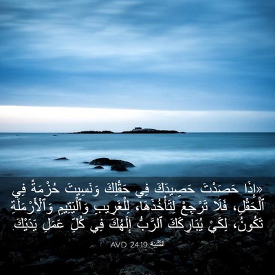 Picture 03 - اَلتَّثْنِيَة 24:19 AVD - «إِذَا حَصَدْتَ حَصِيدَكَ - Bible Verse Picture