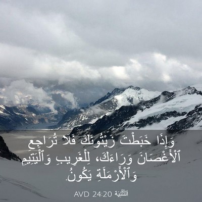 Picture 03 - اَلتَّثْنِيَة 24:20 AVD - وَإِذَا خَبَطْتَ - Bible Verse Picture