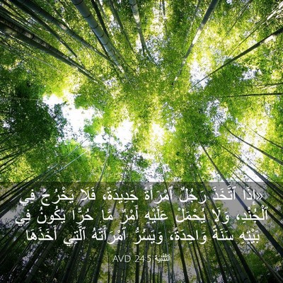 Picture 03 - اَلتَّثْنِيَة 24:5 AVD - «إِذَا ٱتَّخَذَ رَجُلٌ - Bible Verse Picture