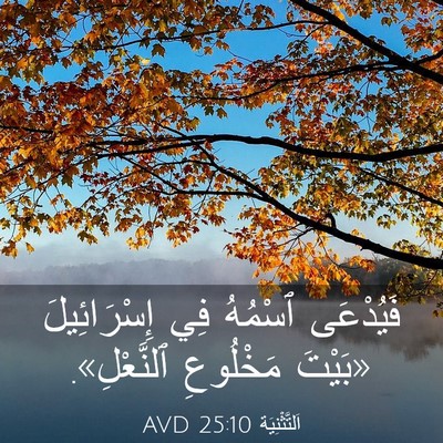 Picture 03 - اَلتَّثْنِيَة 25:10 AVD - فَيُدْعَى ٱسْمُهُ فِي - Bible Verse Picture