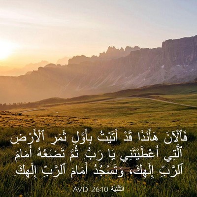 Picture 03 - اَلتَّثْنِيَة 26:10 AVD - فَٱلْآنَ هَأَنَذَا قَدْ - Bible Verse Picture