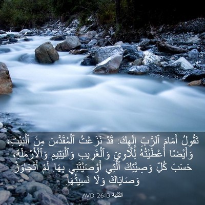 Picture 03 - اَلتَّثْنِيَة 26:13 AVD - تَقُولُ أَمَامَ ٱلرَّبِّ - Bible Verse Picture