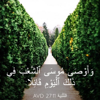 Picture 03 - اَلتَّثْنِيَة 27:11 AVD - وَأَوْصَى مُوسَى - Bible Verse Picture