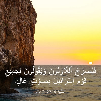 Picture 03 - اَلتَّثْنِيَة 27:14 AVD - فَيُصَرِّحُ - Bible Verse Picture