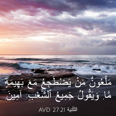Picture 03 - اَلتَّثْنِيَة 27:21 AVD - مَلْعُونٌ مَنْ يَضْطَجِعُ - Bible Verse Picture