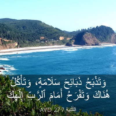 Picture 03 - اَلتَّثْنِيَة 27:7 AVD - وَتَذْبَحُ ذَبَائِحَ - Bible Verse Picture