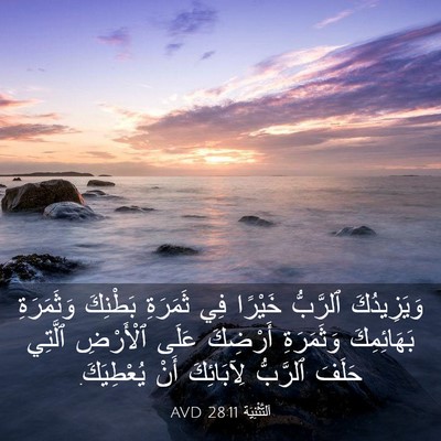 Picture 03 - اَلتَّثْنِيَة 28:11 AVD - وَيَزِيدُكَ ٱلرَّبُّ - Bible Verse Picture
