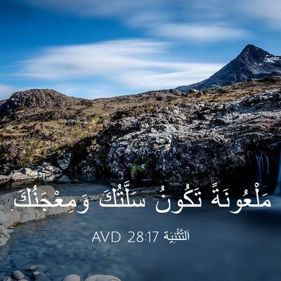 Picture 03 - اَلتَّثْنِيَة 28:17 AVD - مَلْعُونَةً تَكُونُ - Bible Verse Picture