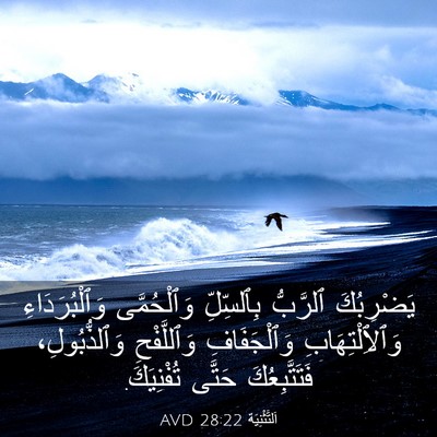 Picture 03 - اَلتَّثْنِيَة 28:22 AVD - يَضْرِبُكَ ٱلرَّبُّ - Bible Verse Picture