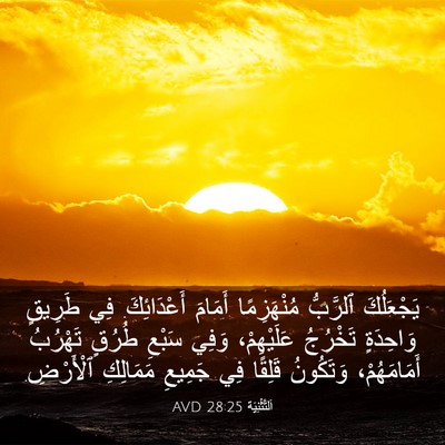 Picture 03 - اَلتَّثْنِيَة 28:25 AVD - يَجْعَلُكَ ٱلرَّبُّ - Bible Verse Picture