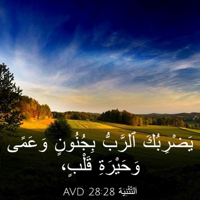 Picture 03 - اَلتَّثْنِيَة 28:28 AVD - يَضْرِبُكَ ٱلرَّبُّ - Bible Verse Picture