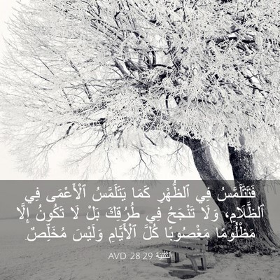 Picture 03 - اَلتَّثْنِيَة 28:29 AVD - فَتَتَلَمَّسُ فِي - Bible Verse Picture